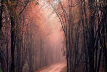 柯丝蒂·考文垂当选为国际奥委会主席.