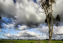 小因：上半场我们配得上进得更多；红牌？我犯了错并且道歉了.