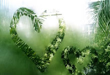 金元足球最大收获：“小黄博文”成恒大出品第1位国足国脚！.